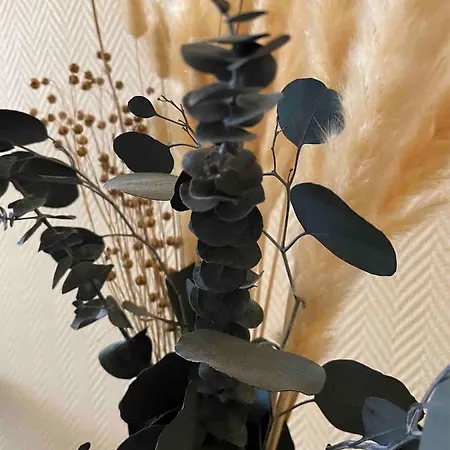 Hotel Schwanebeck Binz