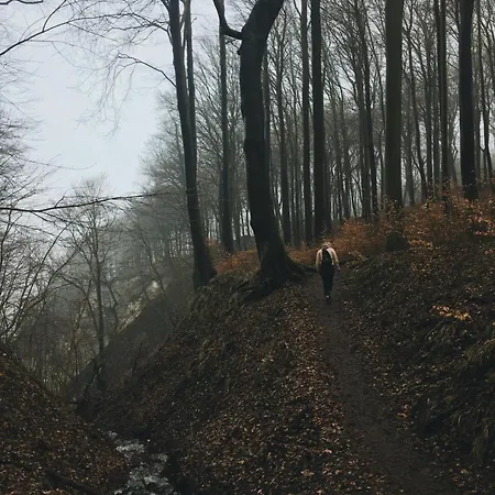 Hotel Schwanebeck Binz