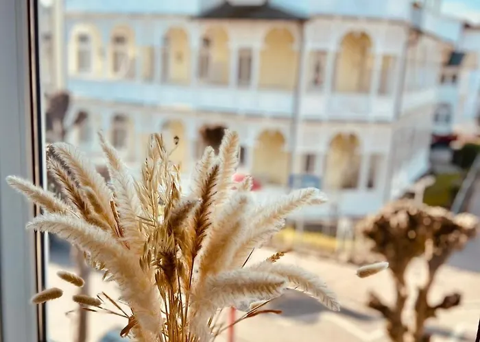 Schwanebeck בינץ